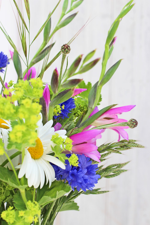 ...OF SPRING AND SUMMER... FLOWERS by ingrid and titti Happy Midsummer!