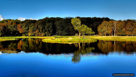 Full HD Size Nature Wallpapers Free Downloads Full HD High Res Nature Wallpapers For Laptop Full HD Size Nature Wallpapers Free Downloads Full HD High Res Nature Wallpapers For Laptop