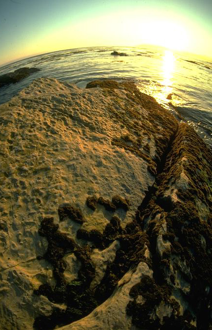 All photos gallery: Natural Disasters, Computer Wallpapers