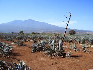 Jalisco