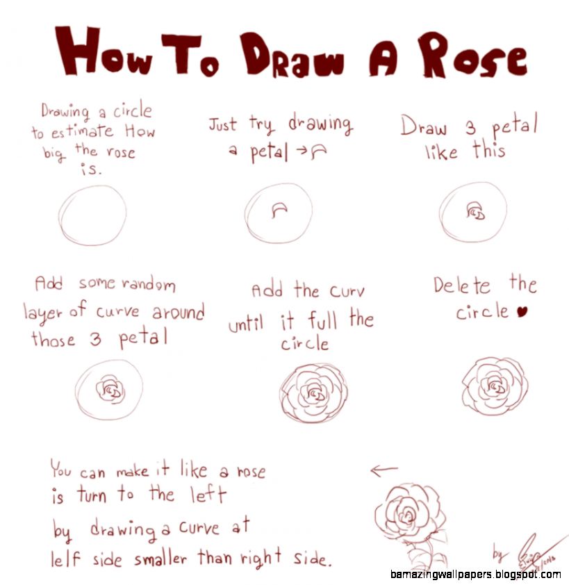 Simple Rose Drawing Tumblr