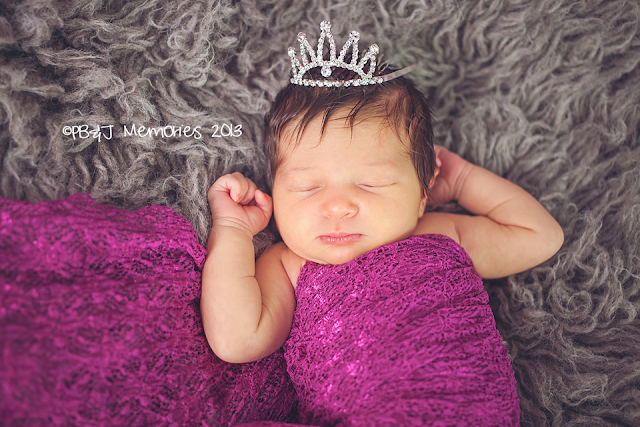 PB&J Memories Janesville WI Newborn Photographer