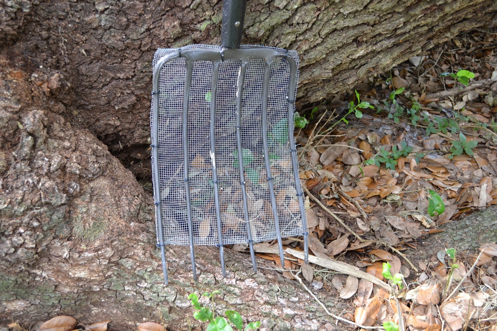 I Heart Decorating Poop Hammocks & Coop Cleaning