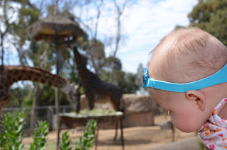 San Diego Zoo family trip