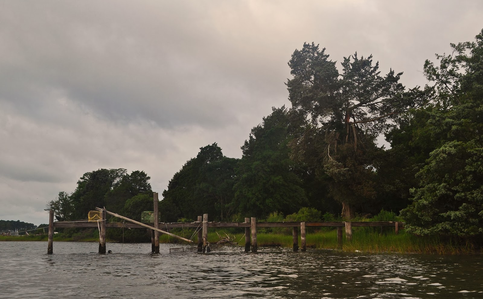 A Tidewater Paddler Onancock Creek and Parkers Marsh 7/21/13