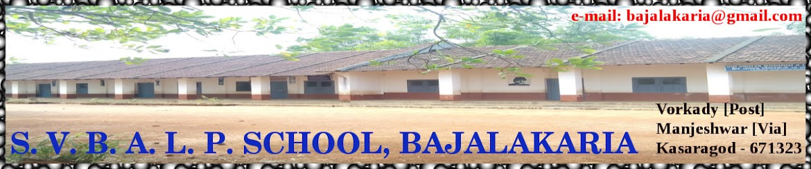 S V B A L P School Bajalakaria