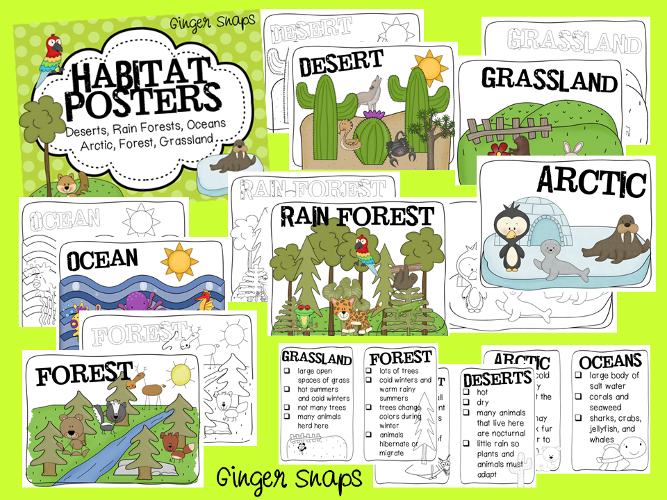 Animals And Their Habitats Chart