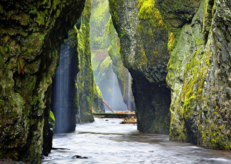 Visit The World: The Beautiful Look of Oneonta Gorge, Oregon.