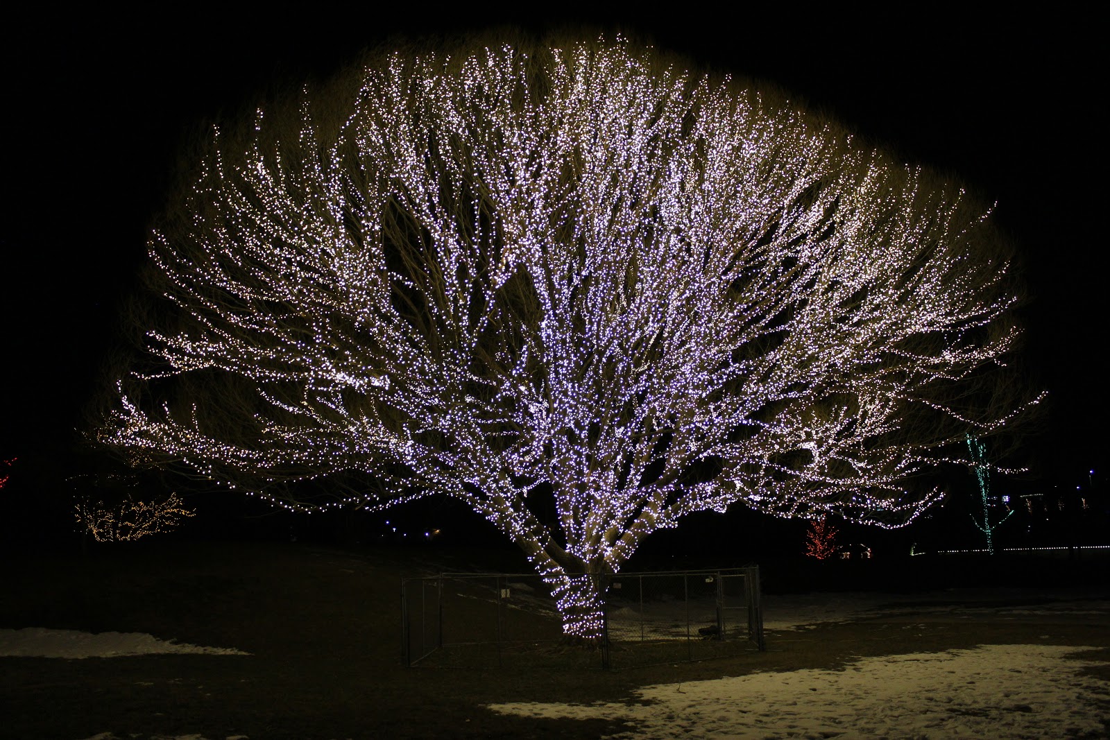 Jen's Updates Draper Park