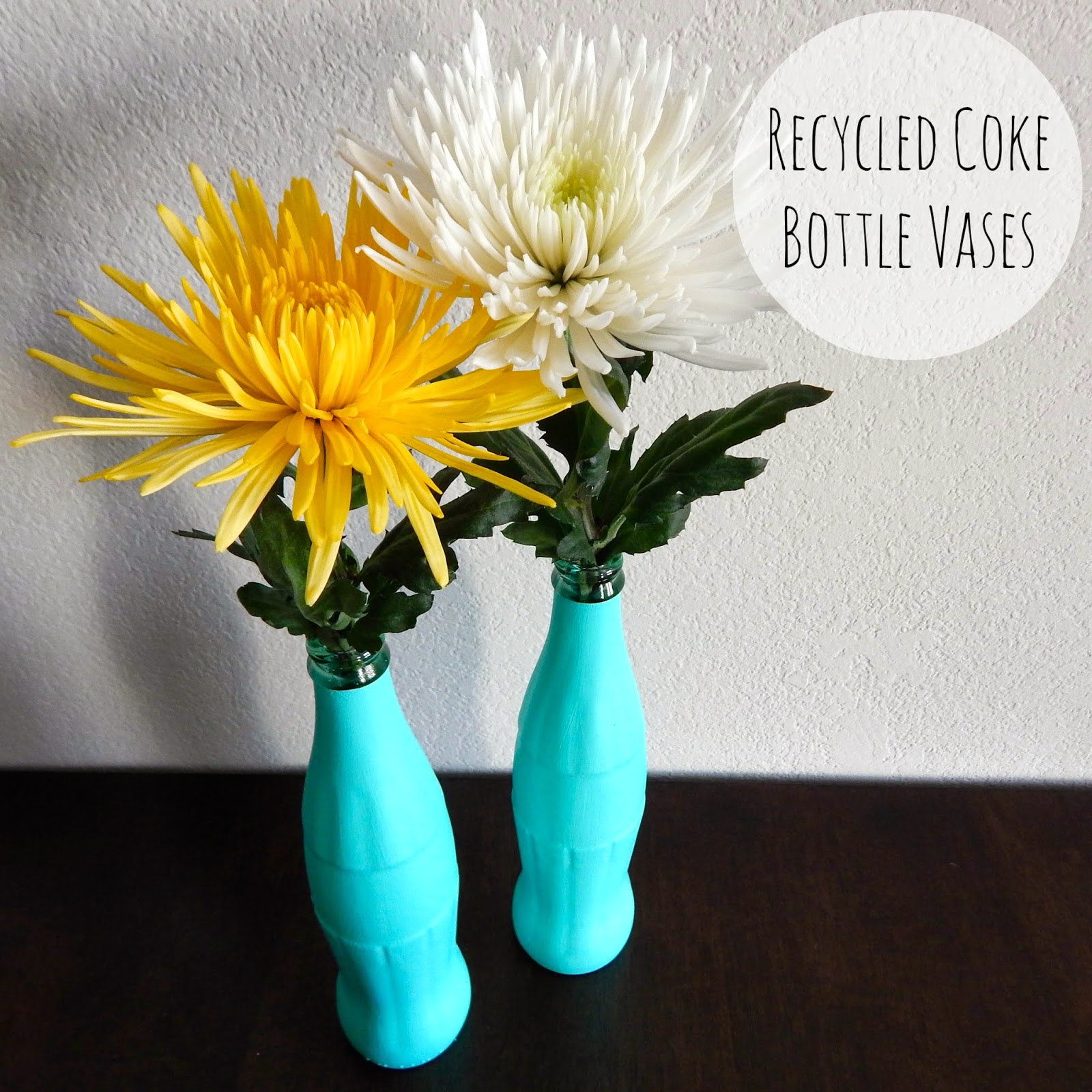 Defined Designs Recycled Coke Bottles