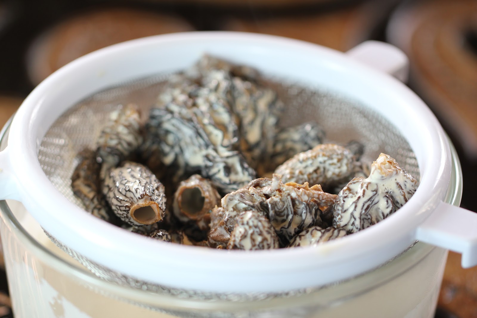 Thyme In Our Kitchen Morel and Asparagus Lasagna