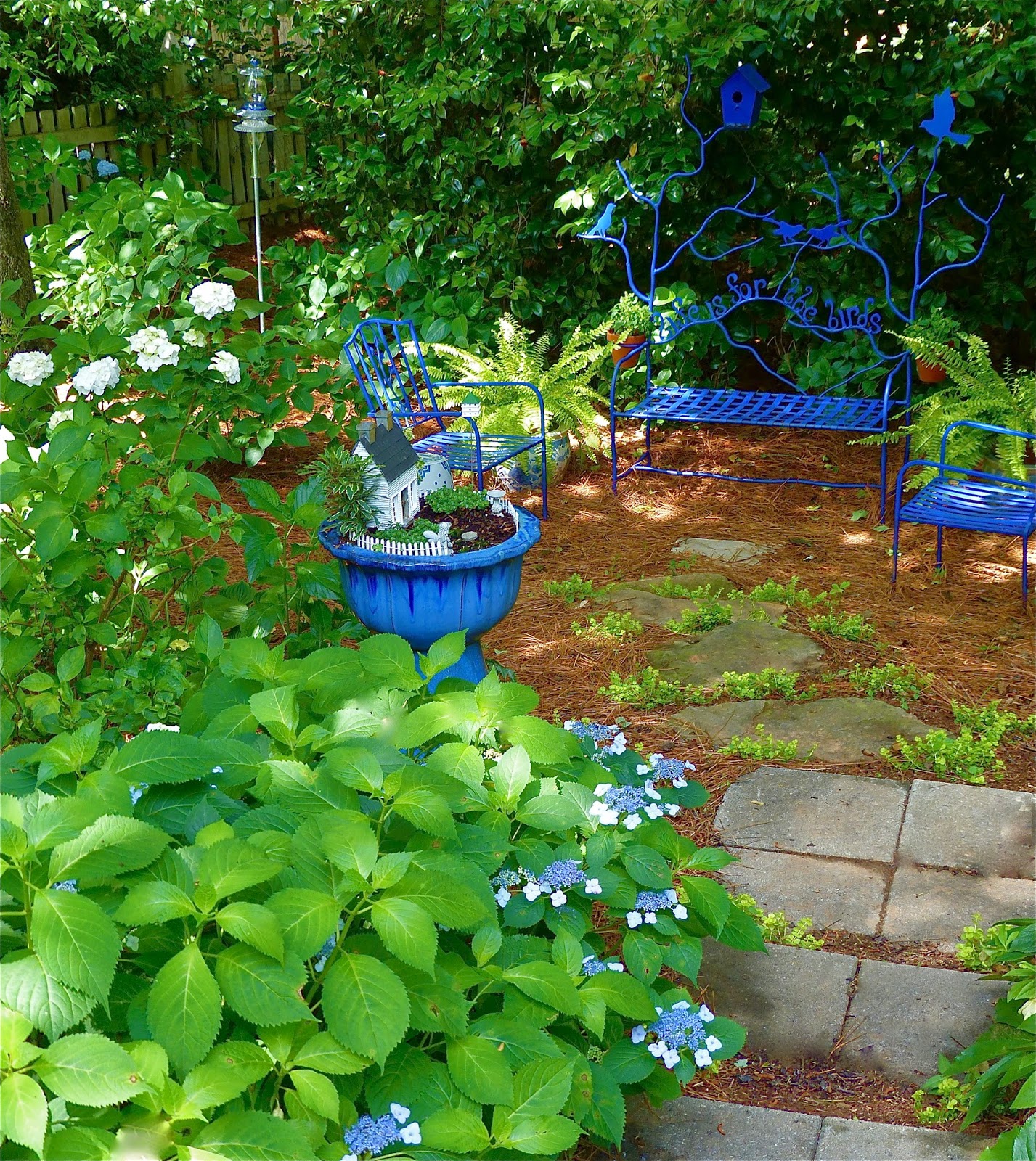 Am Dolce Vita Limelight Hydrangea Growing Tips