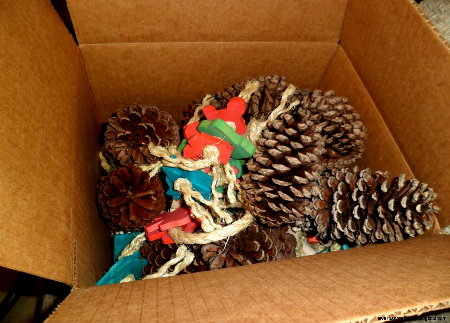 Bunny Rabbit Pet Toys Bunny Rabbit Pet Toys