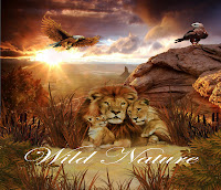 Wild Nature Wild Nature fantasy backgrounds