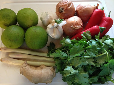 red thai curry ingredients