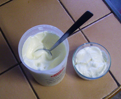 eight acres: trying to make raw milk yoghurt