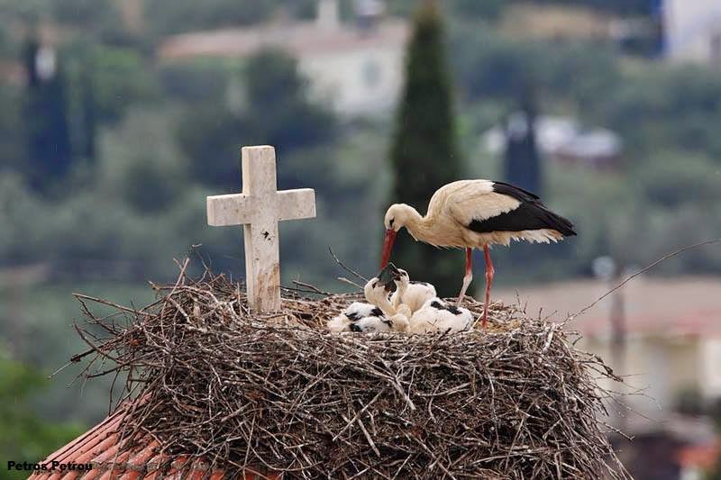 diaforetiko.gr : 1380083 217250978399276 1371913952 n Όταν ο άνθρωπος έχει μέσα του το Θεό…