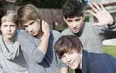 Liam, Zayn, Louis, Niall