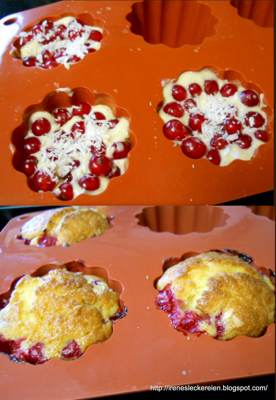 Irène`s Leckereien♥ JohannisbeerJoghurtMuffins