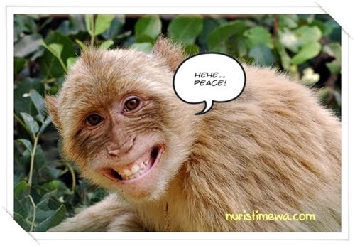 BICARA AMANI did u smile today ??? ) BICARA AMANI did u smile today ??? )