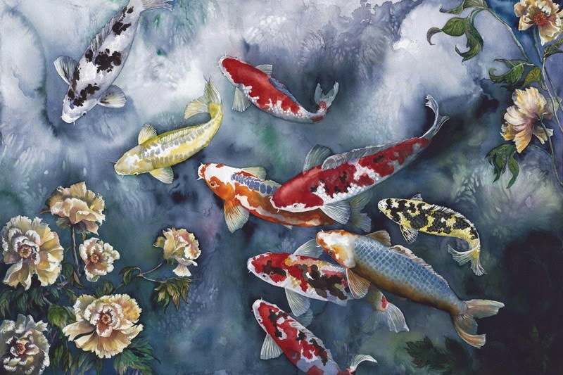 gambar ikan koi terbaru - gambar ikan - gambar ikan koi terbaru