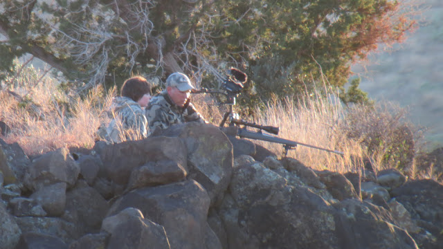 Coues%2BDeer.JPG
