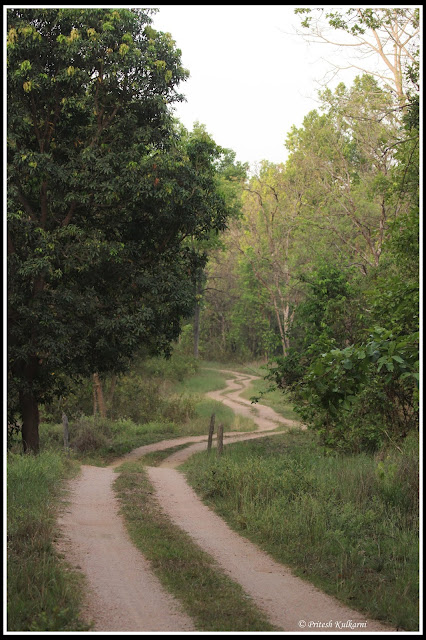 Road to Kisli zone, Kanha National Park Road to Kisli zone, Kanha National Park