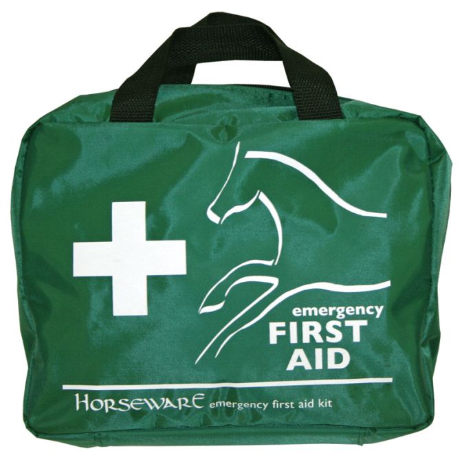 The Modern Equestrian The Prepared Equestrian