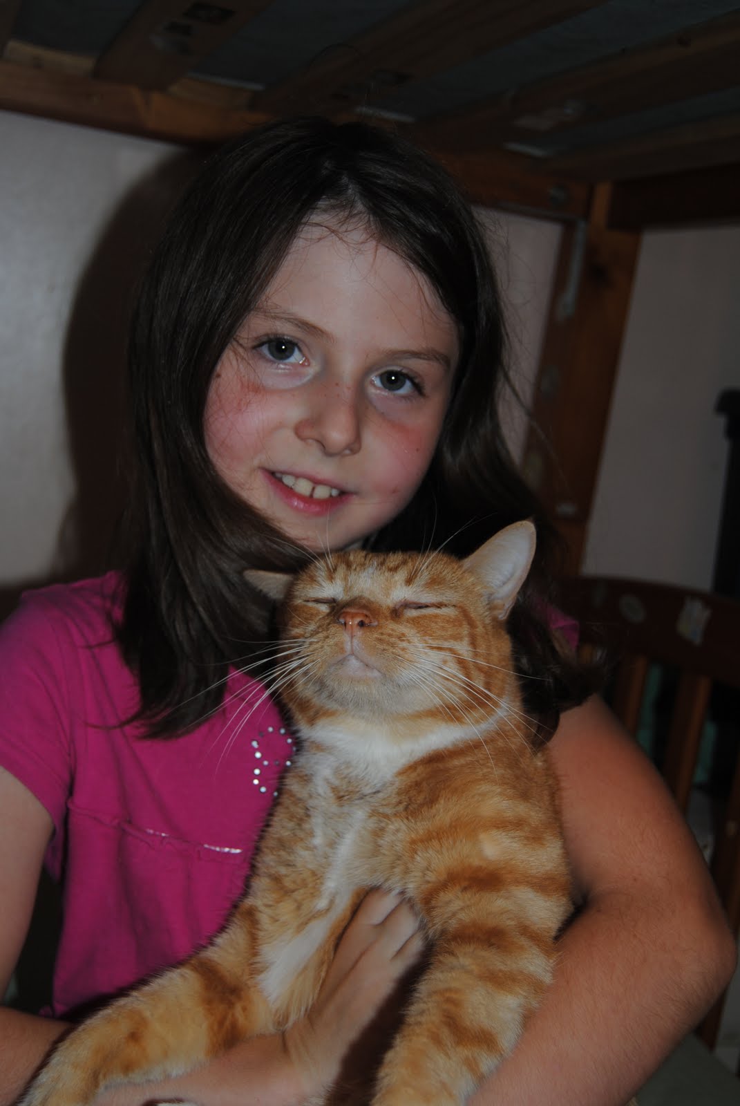 Isa Cat