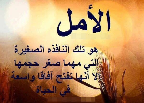 اجمل الصور والعبارات حكم اجمل الصور والعبارات حكم