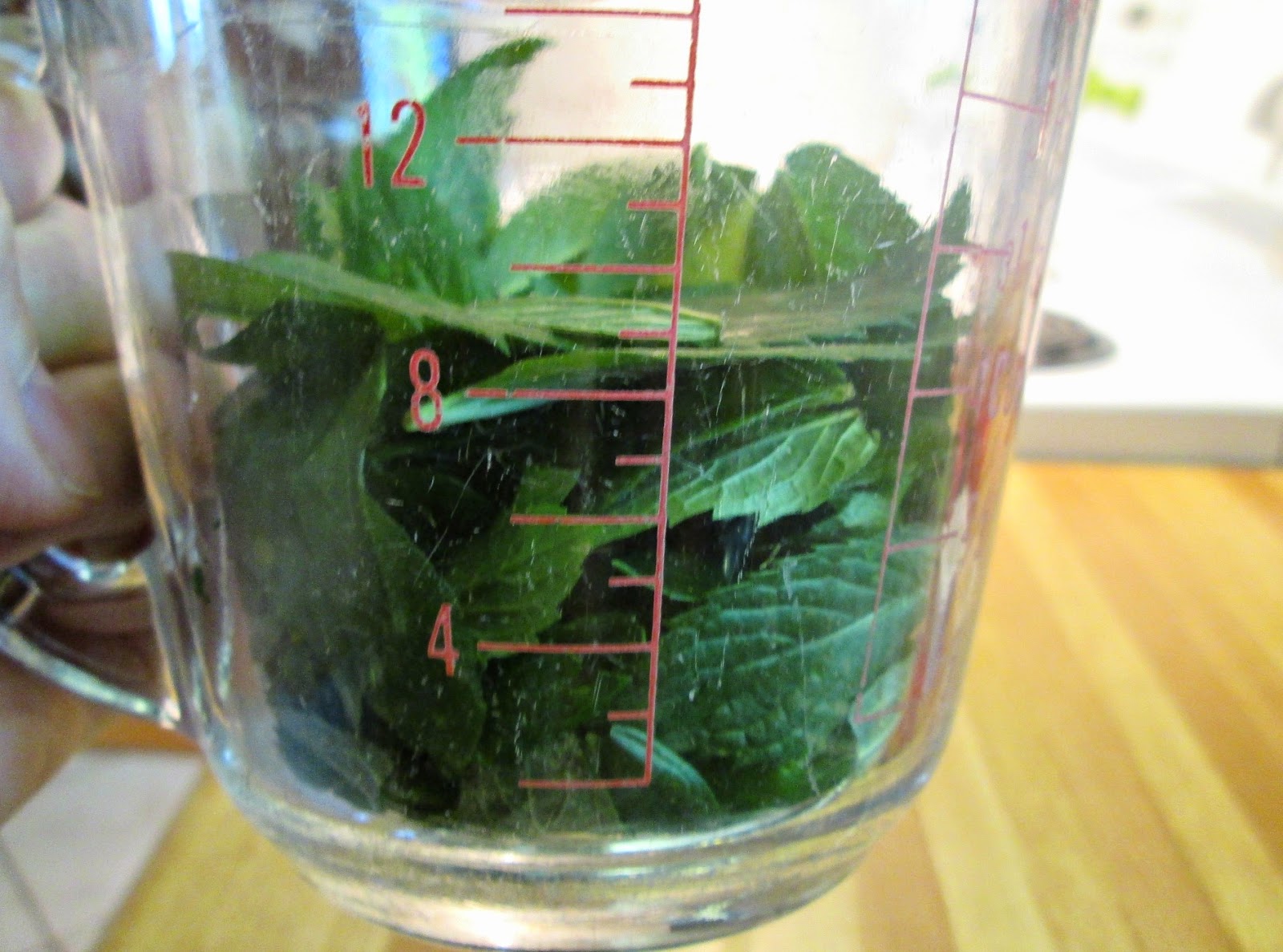 Just my Stuff Classic Mint Sauce with Malt Vinegar