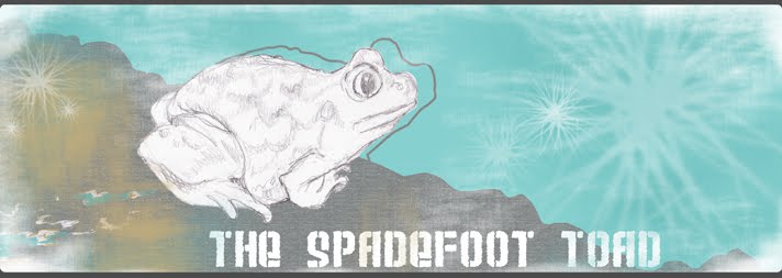 The Spadefoot Toad