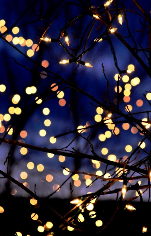 Winter Lights Ral Across the Universe Winter Lights Ral Across the Universe