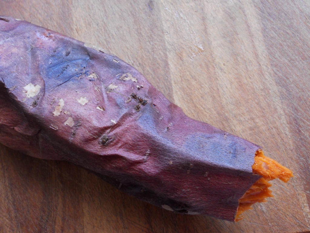 Snacking Squirrel Cherry Soft Serve and Hybrid Sweet Potatoes