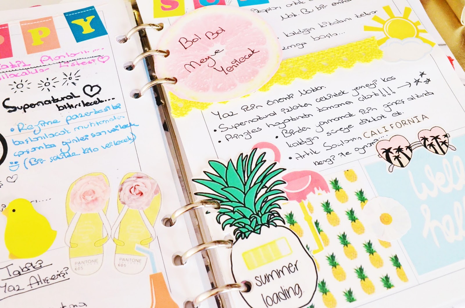 ezgi erikci kendin yap ajanda diy decor your planner with me ajandalar planner kendin yap