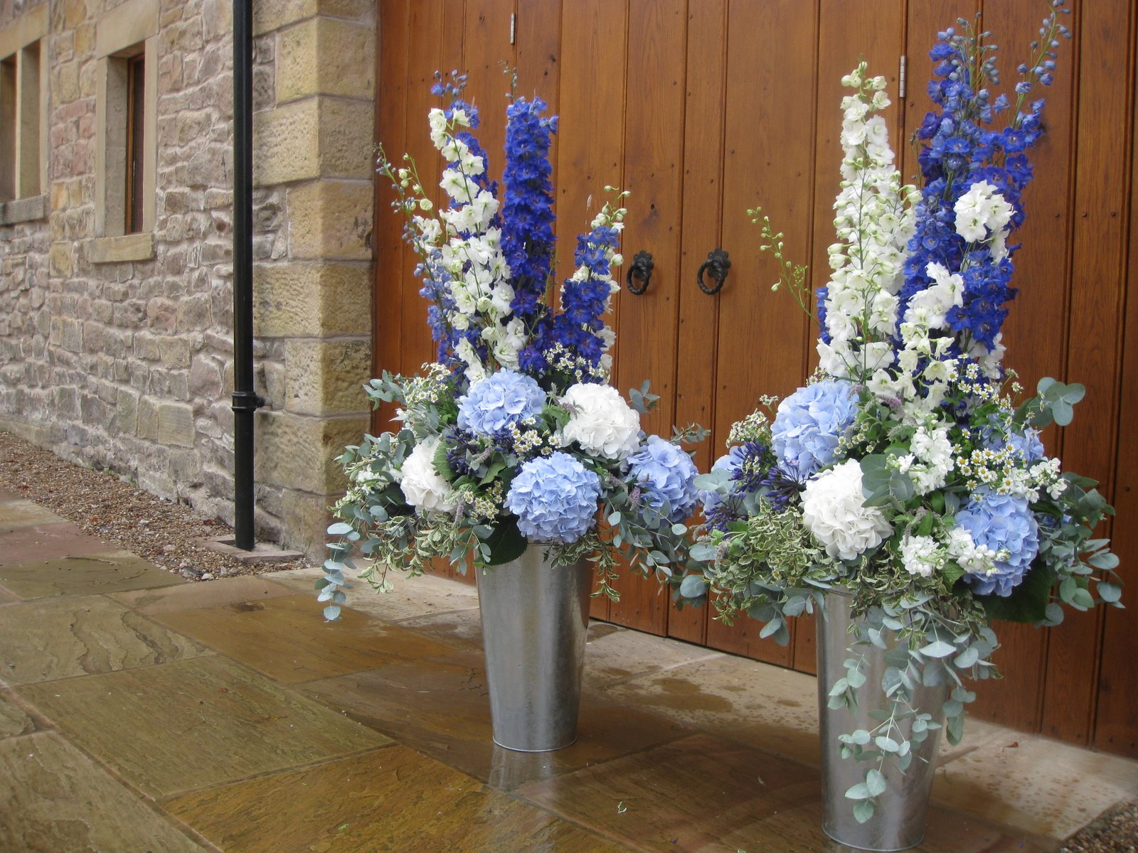 Laura Coleman Flowers Daisies in December, well, August actually