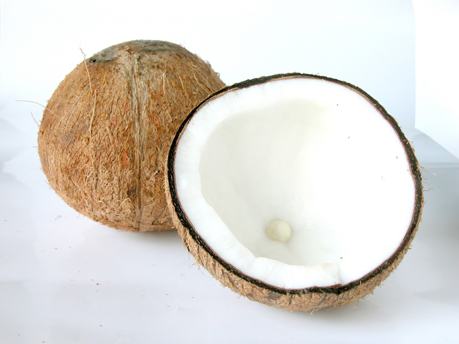 I Love Traditional Foods How to Make Fresh Coconut Milk