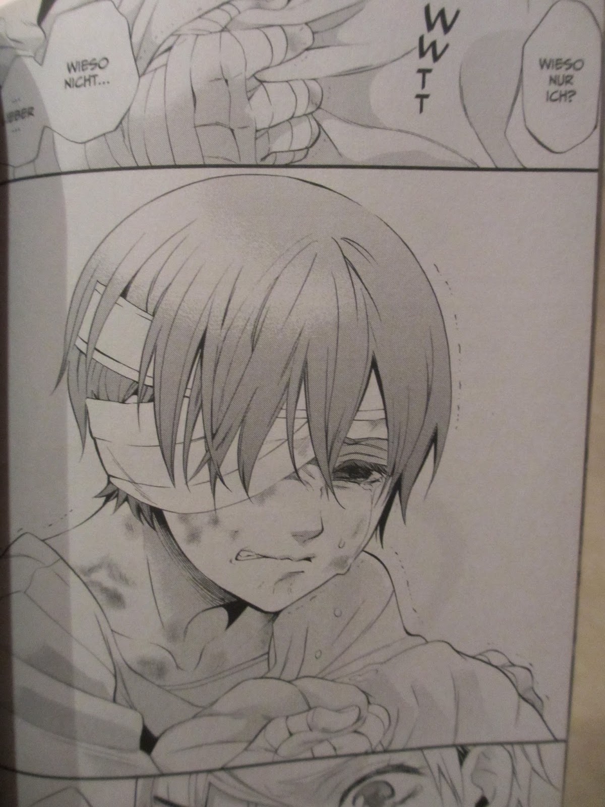 Sonja S Bucherblog Black Butler Theorie