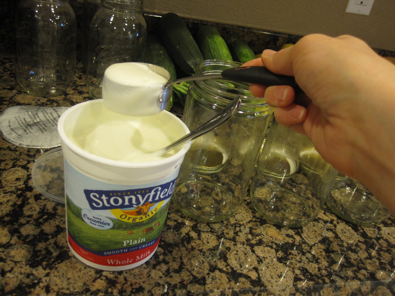 Journey to Food that gives Life Homemade Yogurt {Nourishing AND Frugal}