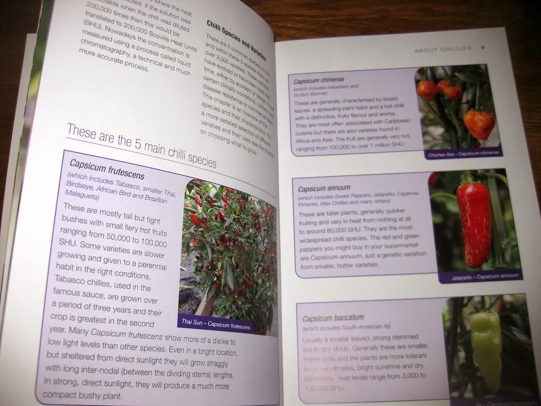 Happenings In The Garden My New Plant