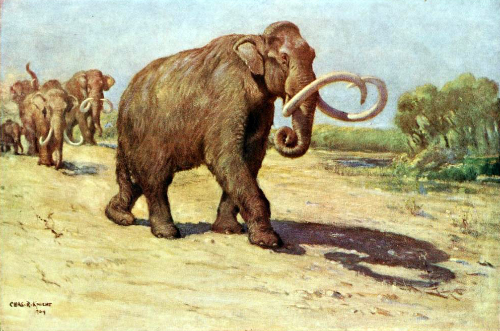 What did mammoths eat?