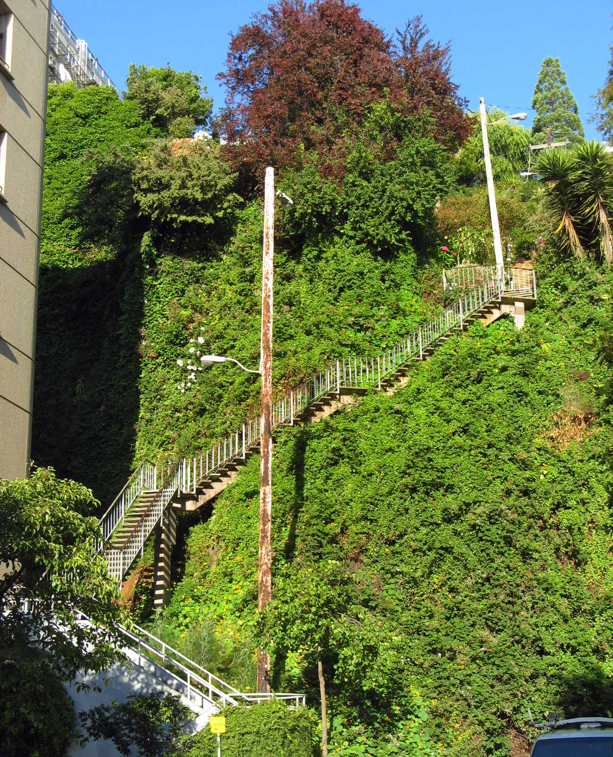 San Francisco Photo Blog Telegraph Hill, San Francisco