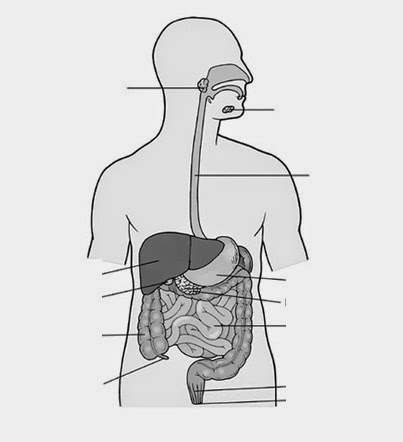DRAW IT NEAT : Resources