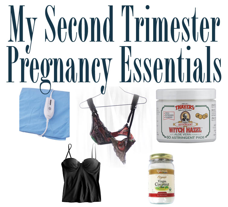 Kitty Adventures 2nd Trimester Pregnancy Essentials