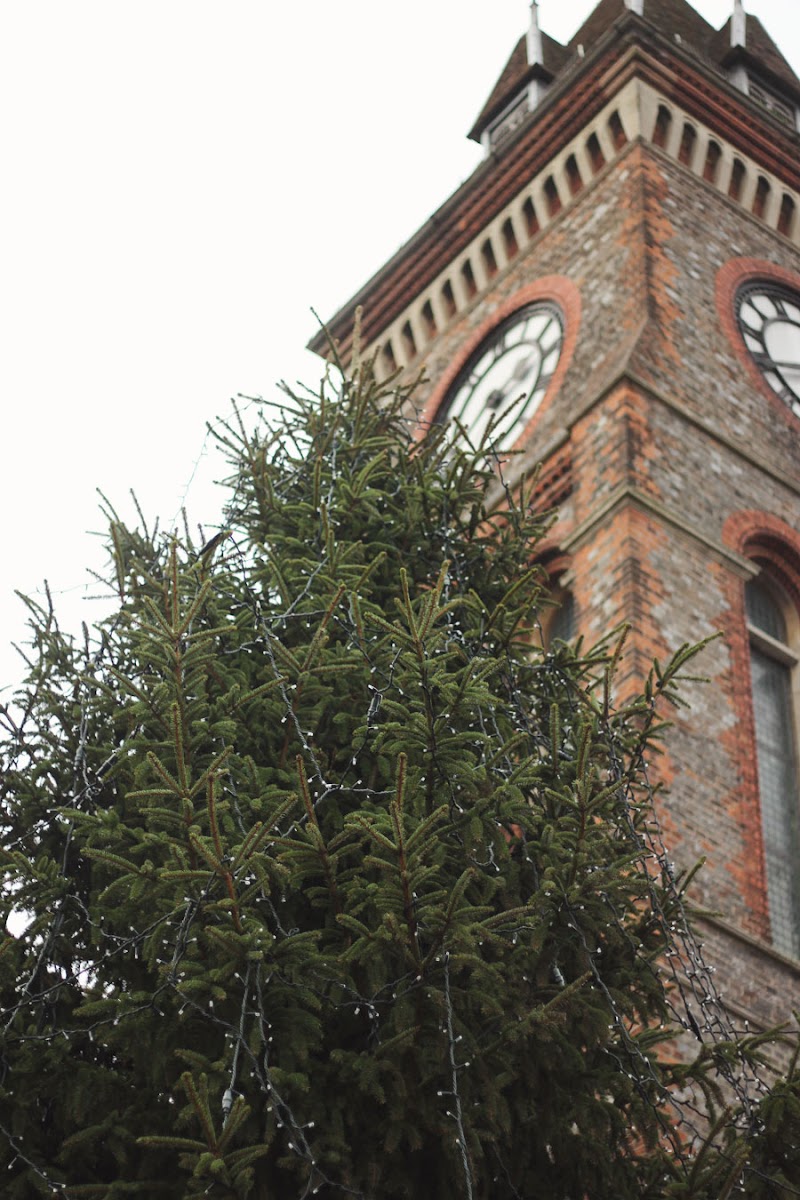 Christmas tree, Newbury
