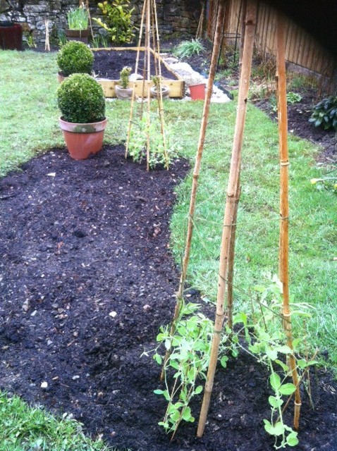 Gwenfar S Garden And Other Musings