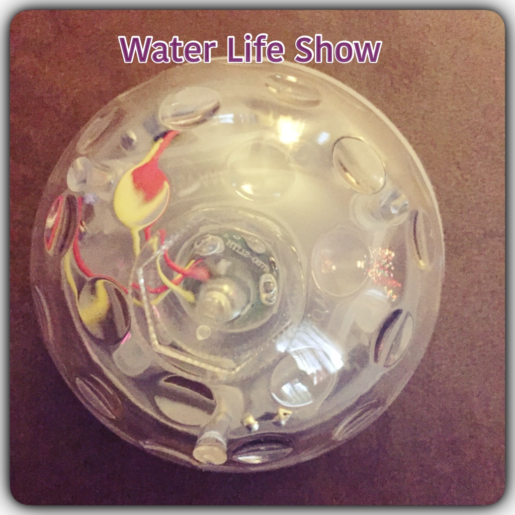 Razzle Dazzle Styles Reviews! GiveAways! Promo! Fashion Blogger 5