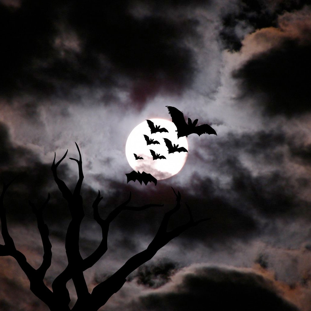 http://3.bp.blogspot.com/-rS5hH0fq9KE/TnmuwHr3_oI/AAAAAAAAEww/HYSCvgQJTyk/s1600/Halloween%2BWallpaper%2BiPad%2BTablet%2BPC%2B%25281%2529.jpeg