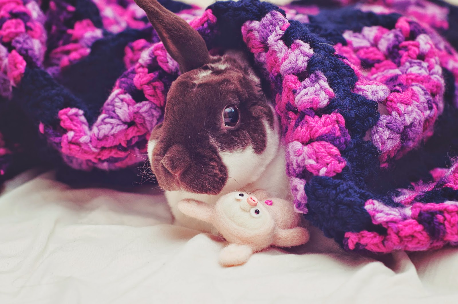 A Lovely Little World It starts Rabbits in Clothes