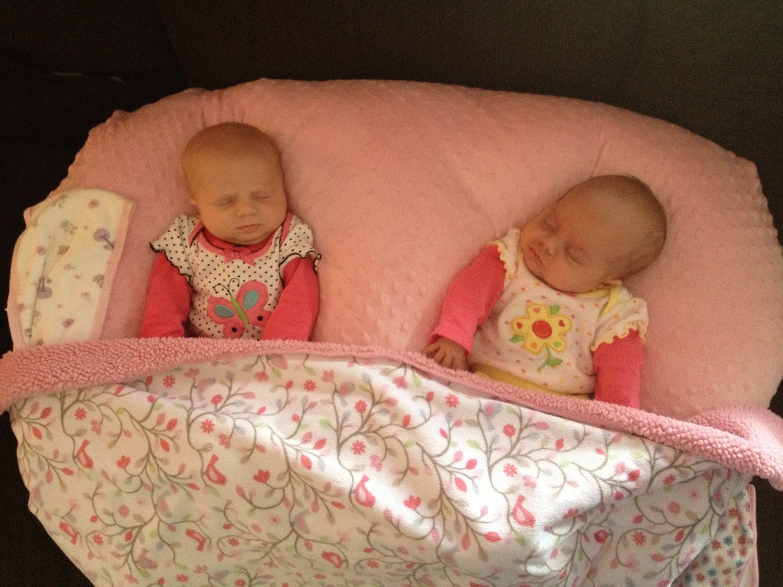 A Lucky Ladybug Twin Z Nursing Pillow Review and Giveaway